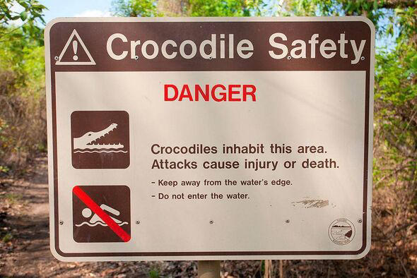 Horror as crocodile devours model in 'historic' attack