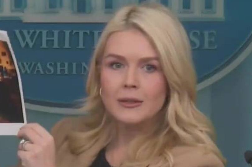 Fox News fans ask if Karoline Leavitt is 'braindead' after ...