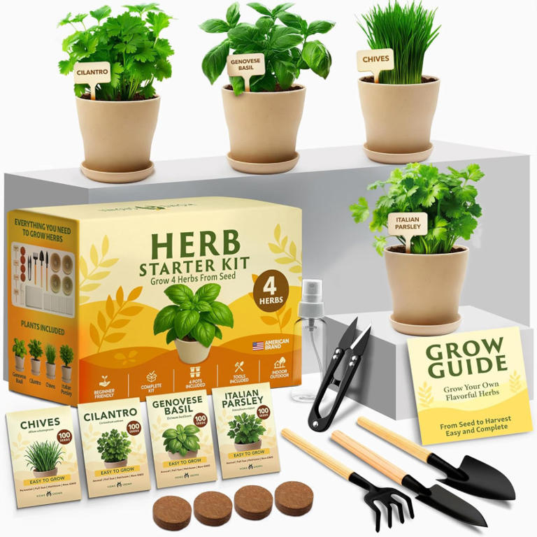 Amazon has a DIY herb garden planter kit on sale for $17 that’s perfect ...