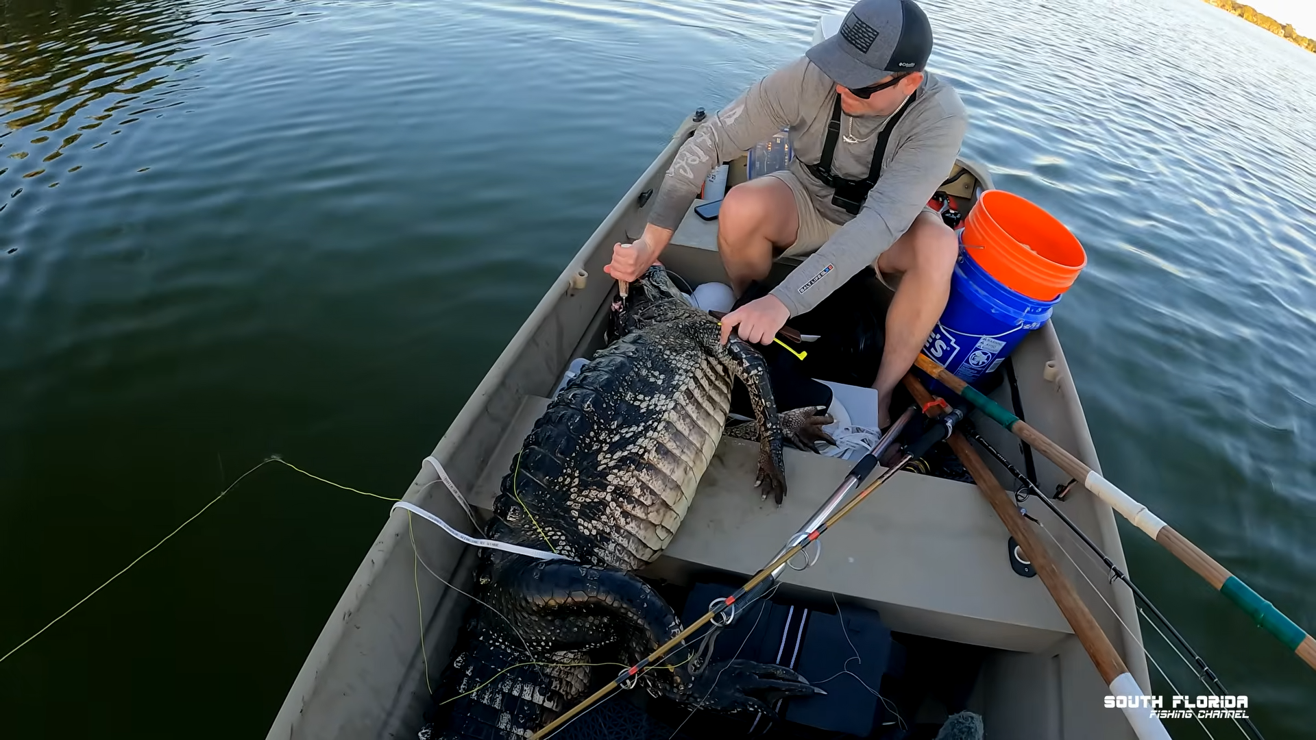 Our first gator turned into a full on battle
