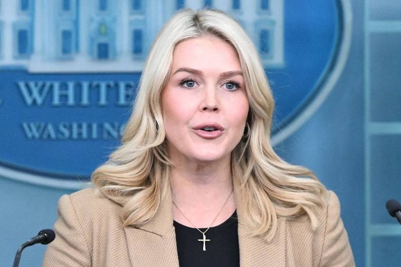 Fox News fans ask if Karoline Leavitt is 'braindead' after ...