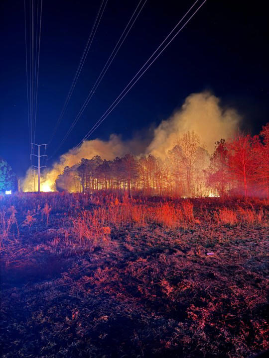 Fire crews extinguish large brush fire in Berkeley County that ...