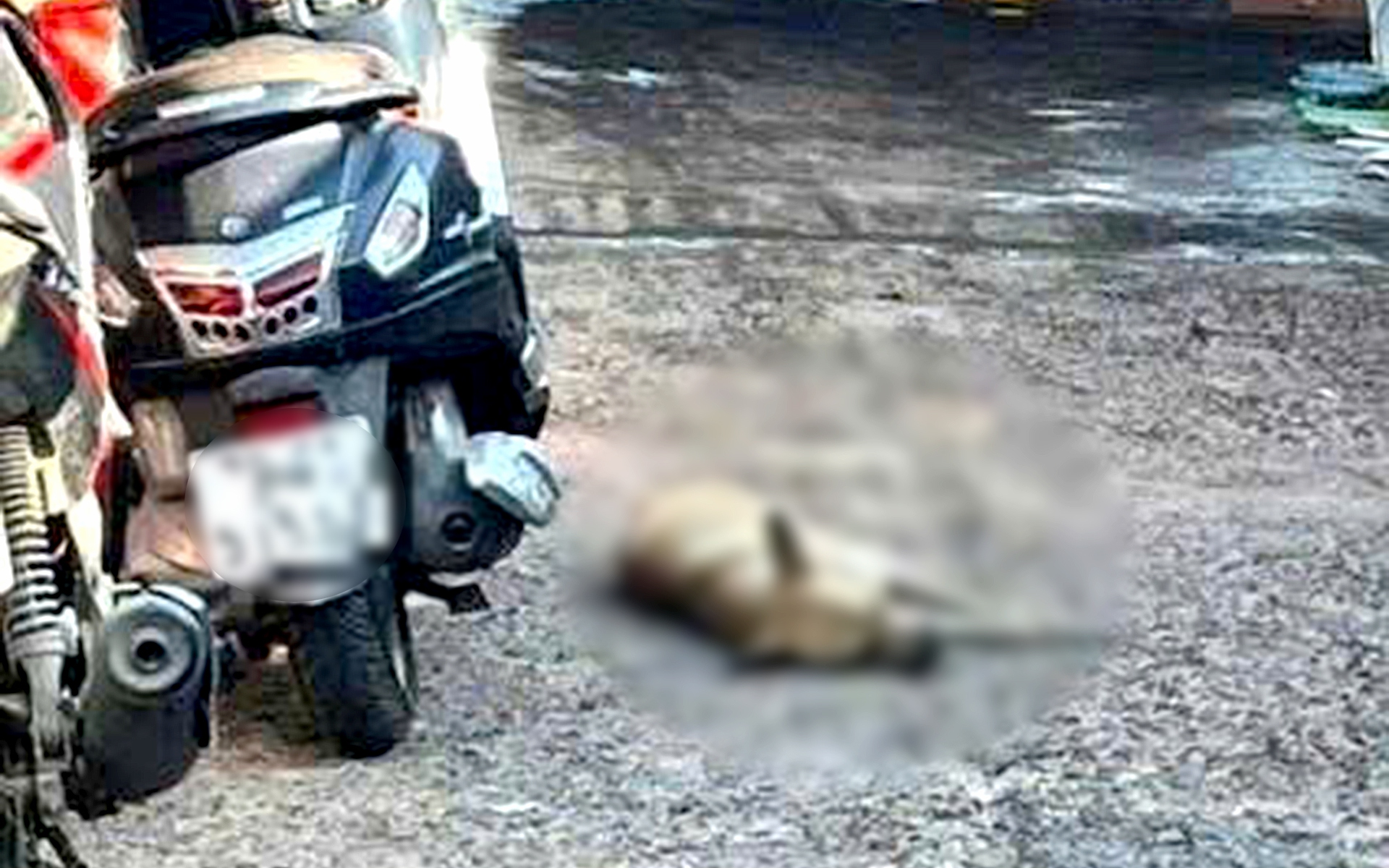 Bốn người trong gia đình bị chó cắn nhưng không tiêm phòng, một người tử vong