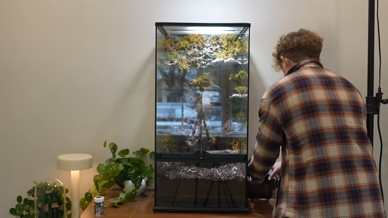 My Tiny Ecosystem Build The Miniature World That Runs Itself