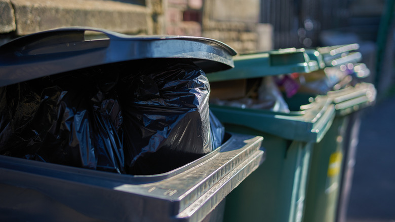 Say goodbye to flies around your trash cans with the help of this ...