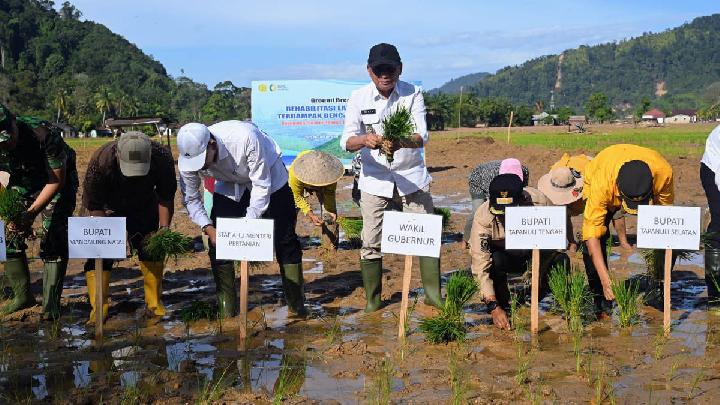 Sumut Rehabilitasi 37.318 Ha Sawah Terdampak Banjir