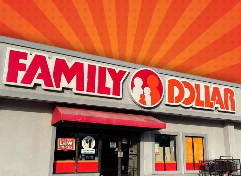 7 Family Dollar new arrivals that feel way more expensive