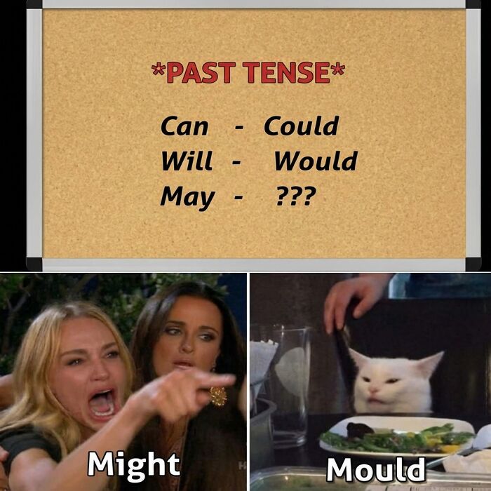48 Relatable Memes Exploring Common Social Situations