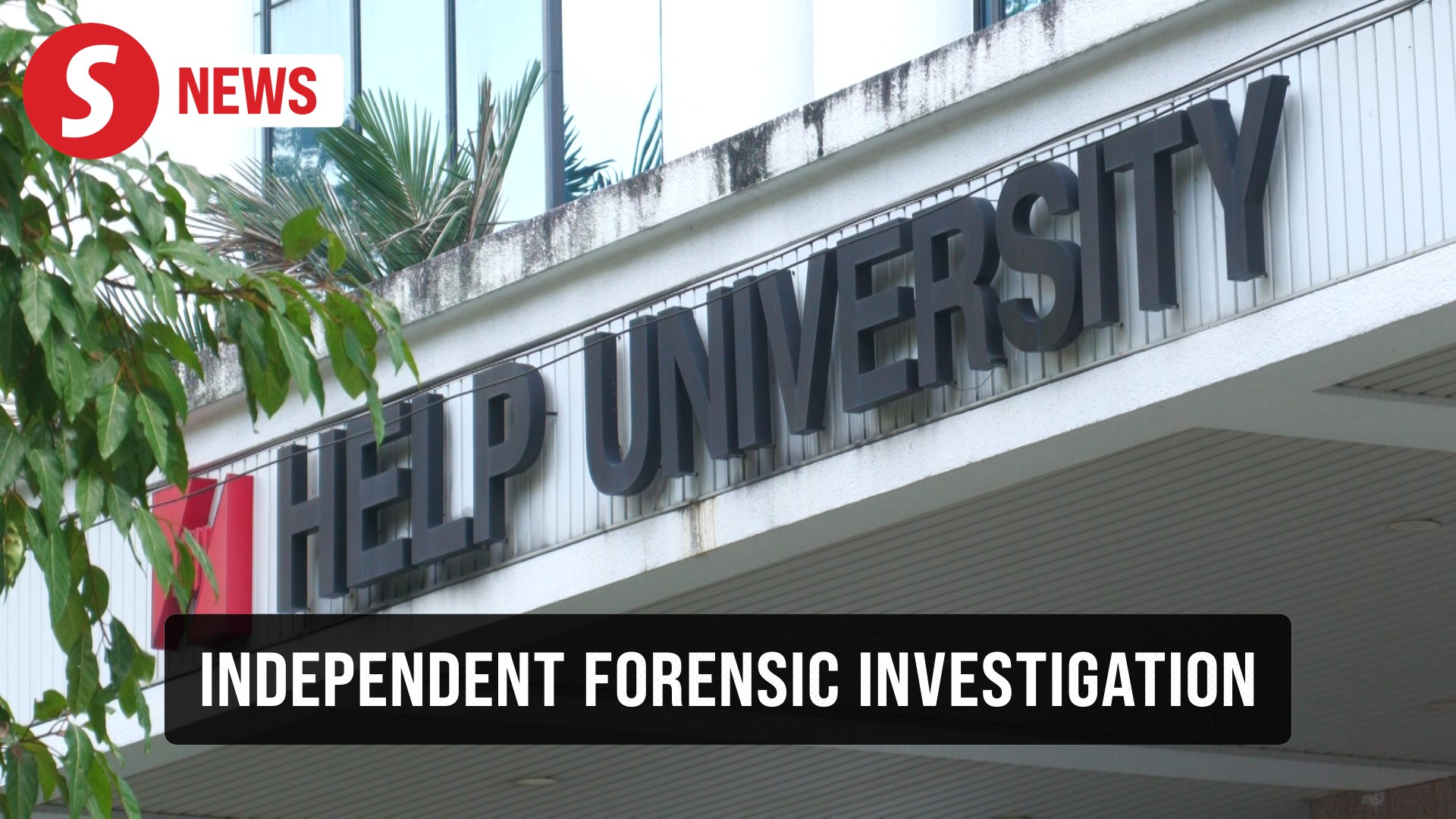 Independent forensic probe launched into blast