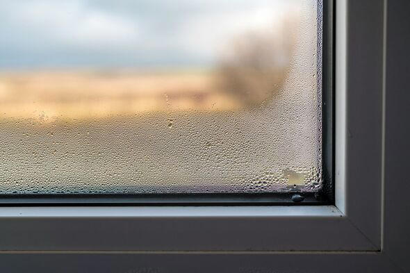 Windows will be free of fog and mould this winter using 65p item