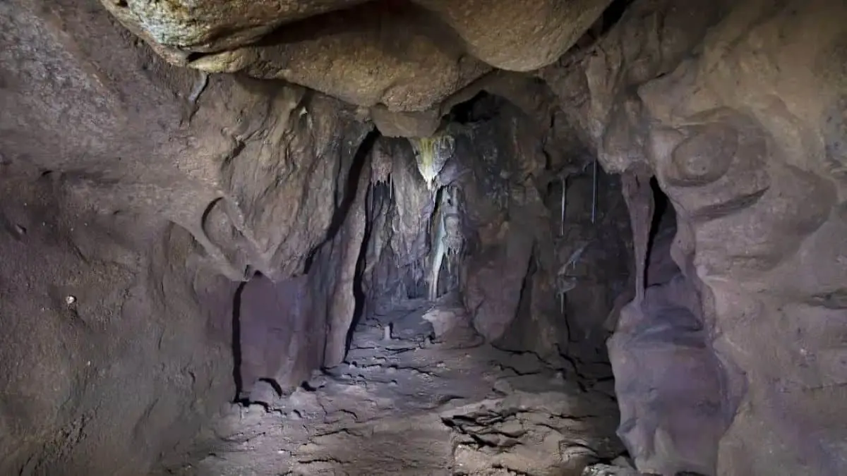 Cavernas de Gibraltar revelam vestígios de cultura e inteligência dos neandertais
