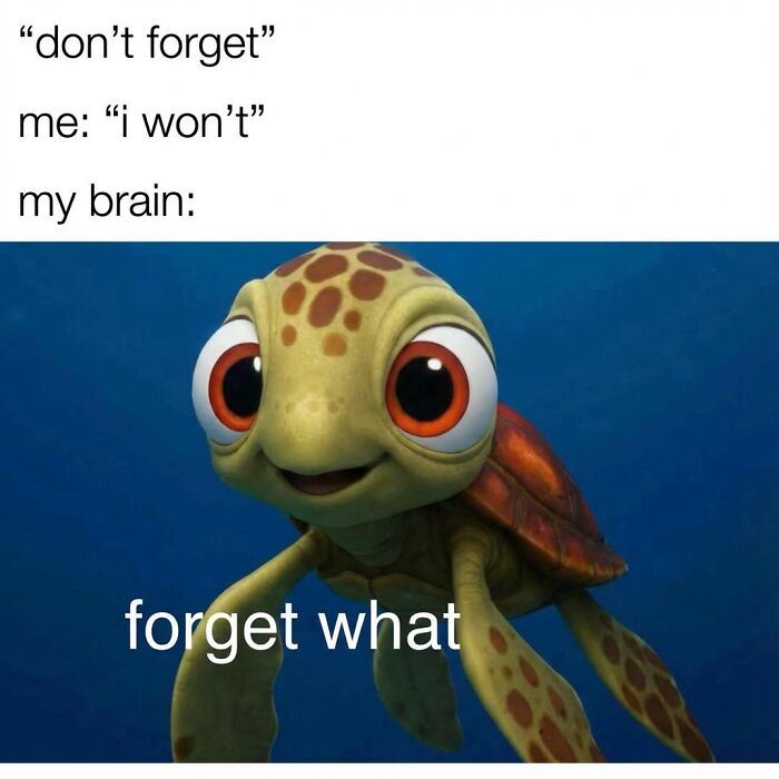 48 Relatable Memes Exploring Common Social Situations