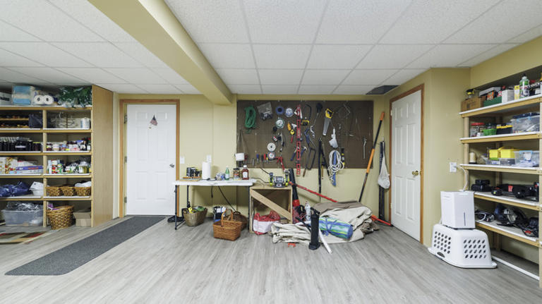 11 Dollar Tree essentials you need for a perfectly organized basement