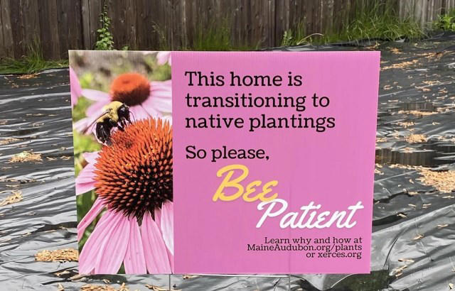 Homeowner creates clever yard sign to tell neighbors to mind their ...