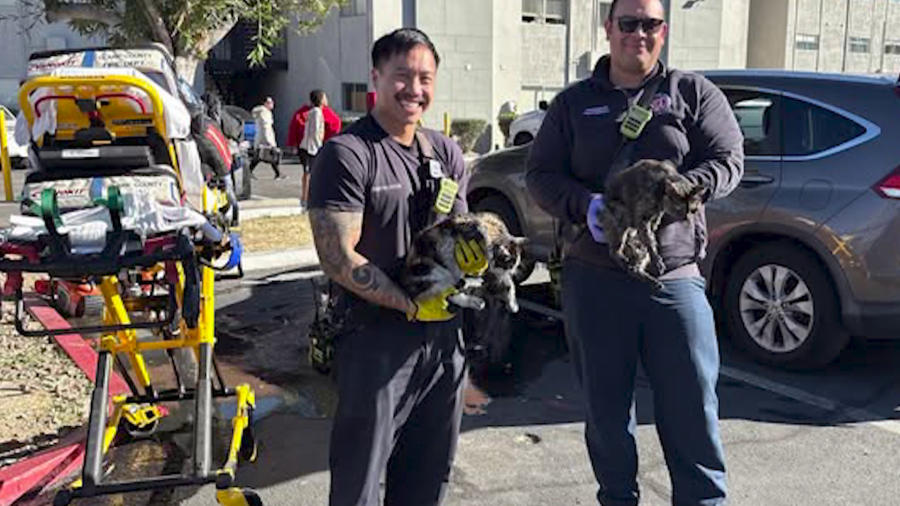 Las Vegas family faces rent increase after apartment fire