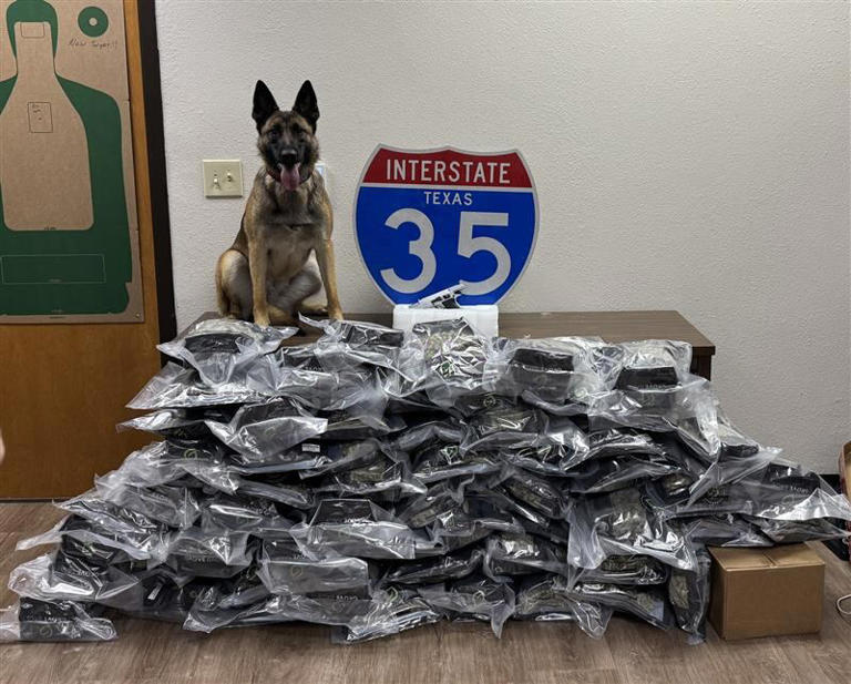 Father and son busted with 79 pounds of marijuana in McLennan County ...
