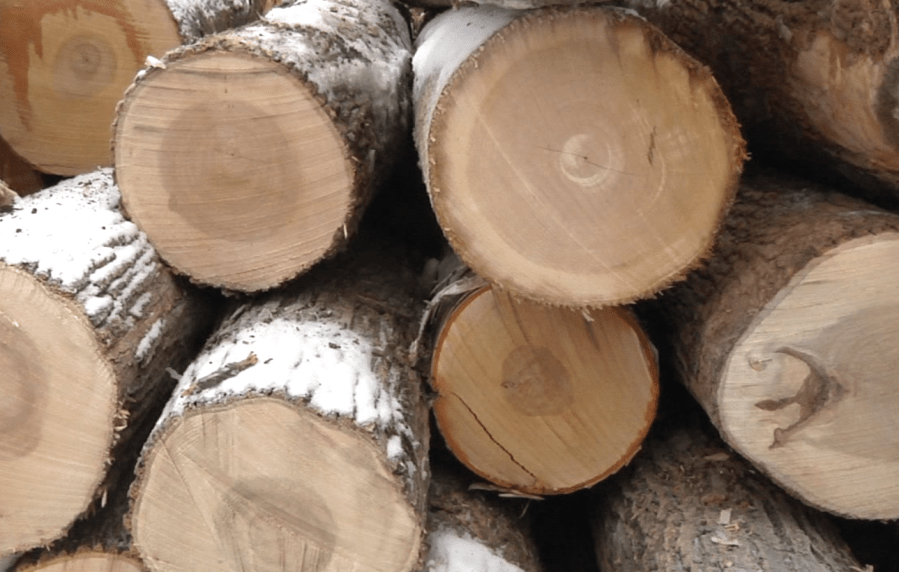 Agreement reached to expand logging at Connecticut River headwaters