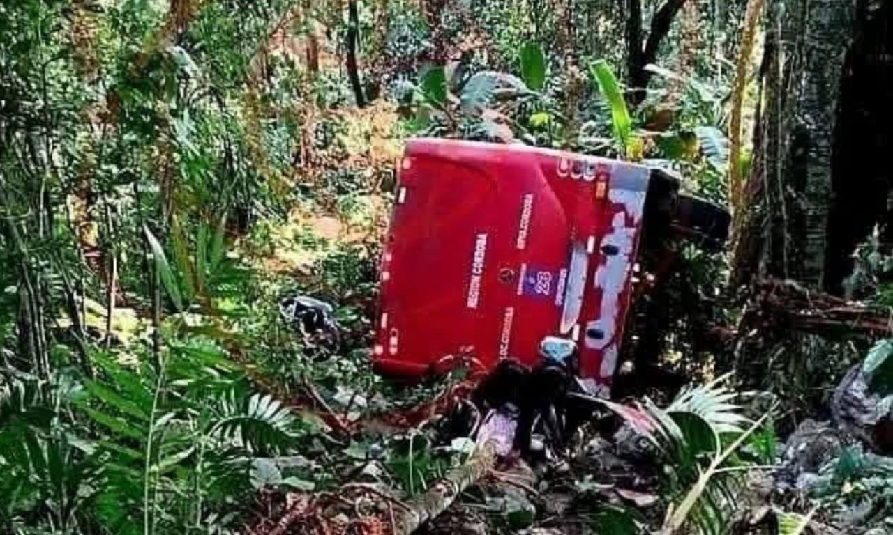 Camión pierde el control y cae a un barranco con alumnos adentro, hay ...