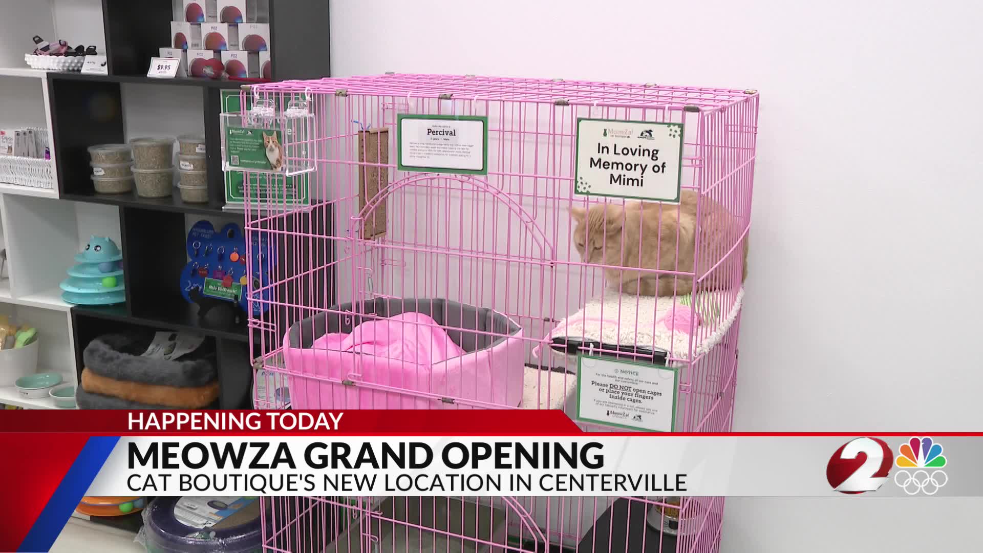 Meowza celebrates grand opening at new Centerville location