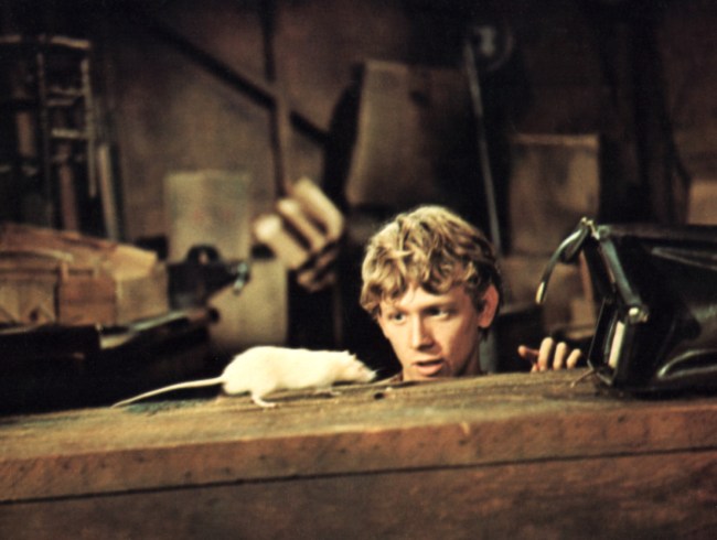 We're failing our boys if they haven't seen 1971's rat-obsessed incel ...