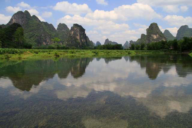 Researchers urge action amid concerning changes in wild animal behavior ...