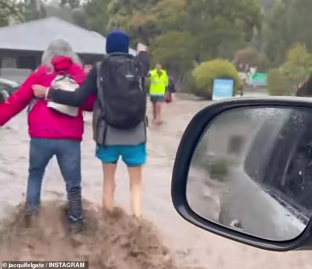 Woman dies after branch falls on her car in wild weather - as community ...