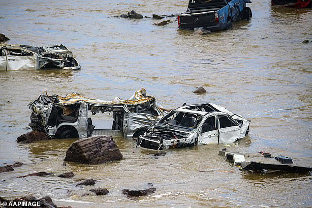 Woman dies after branch falls on her car in wild weather - as community ...
