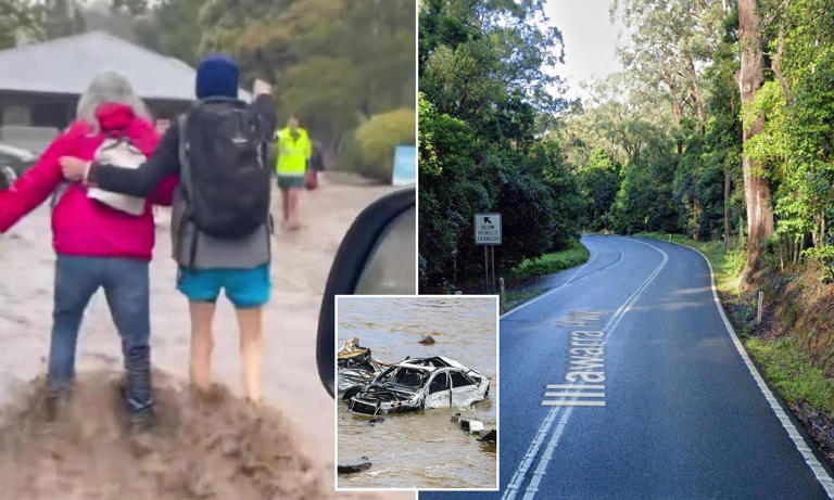 Tragedy strikes as woman dies after a branch falls on her car during ...