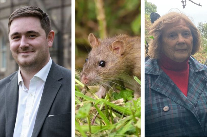 Councillor's Middlebrough rat concern - despite previously voting ...