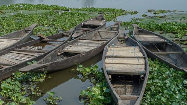 NGT takes cognisance of environmental damage to Deepor Beel in Guwahati