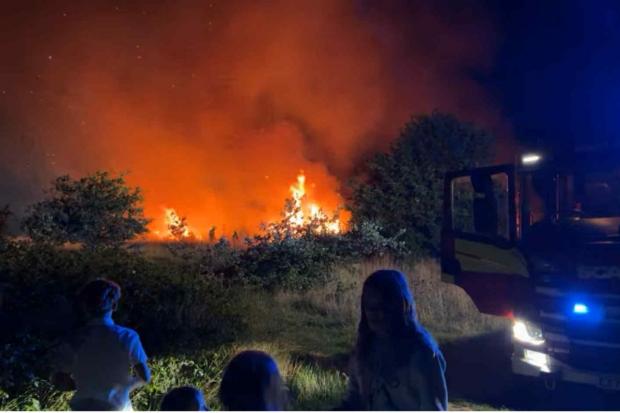 A look back at Middlewick wildfires in 2025 as new figures reveal ...
