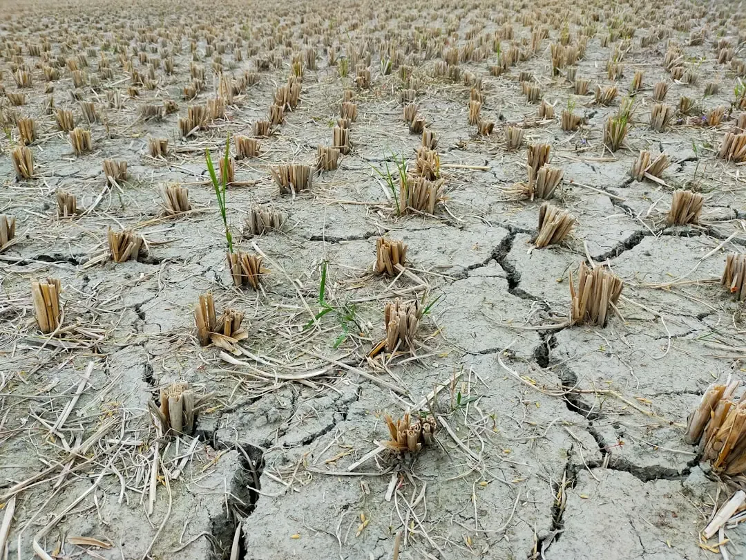 New evidence suggests climate models underestimated risk