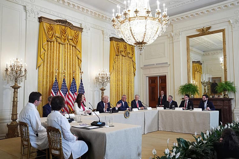 Trump says he may punish countries opposed to US control of Greenland ...