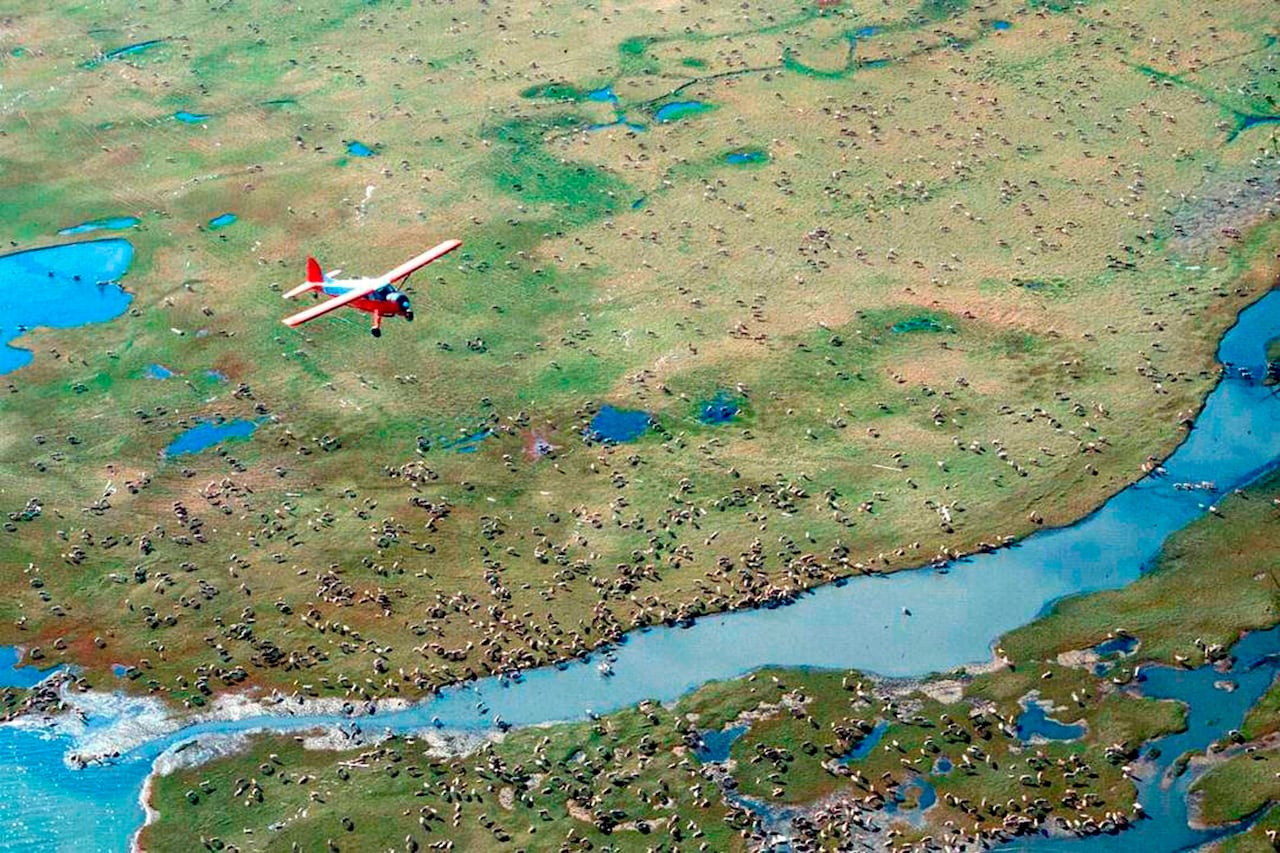 Gwich’in Steering Committee and others suing Trump administration over ANWR