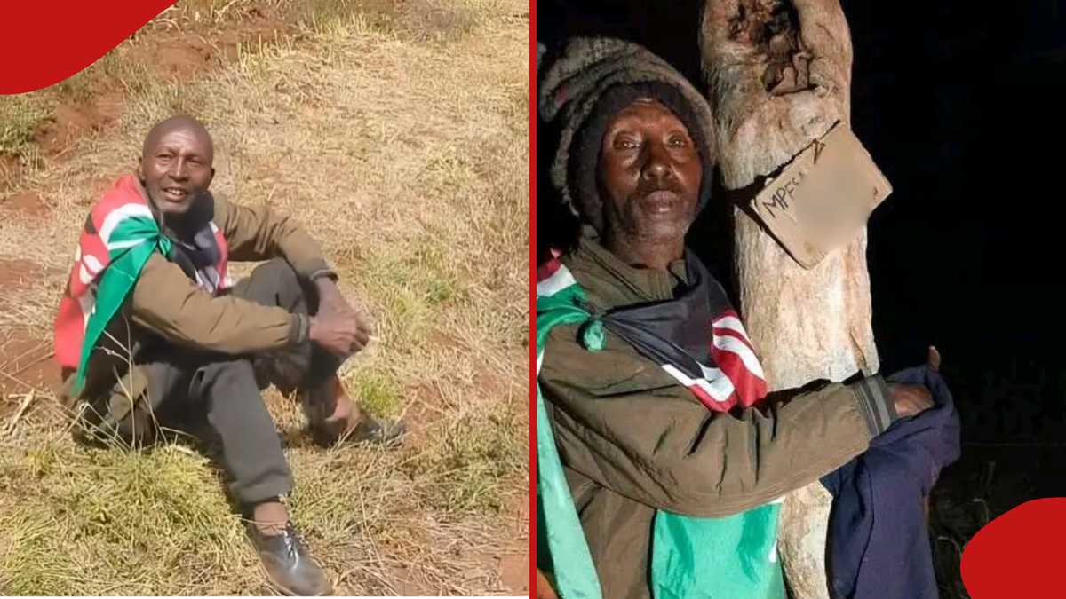 Hilarious video shows Meru man who completed 90-hour tree-hug cheating ...