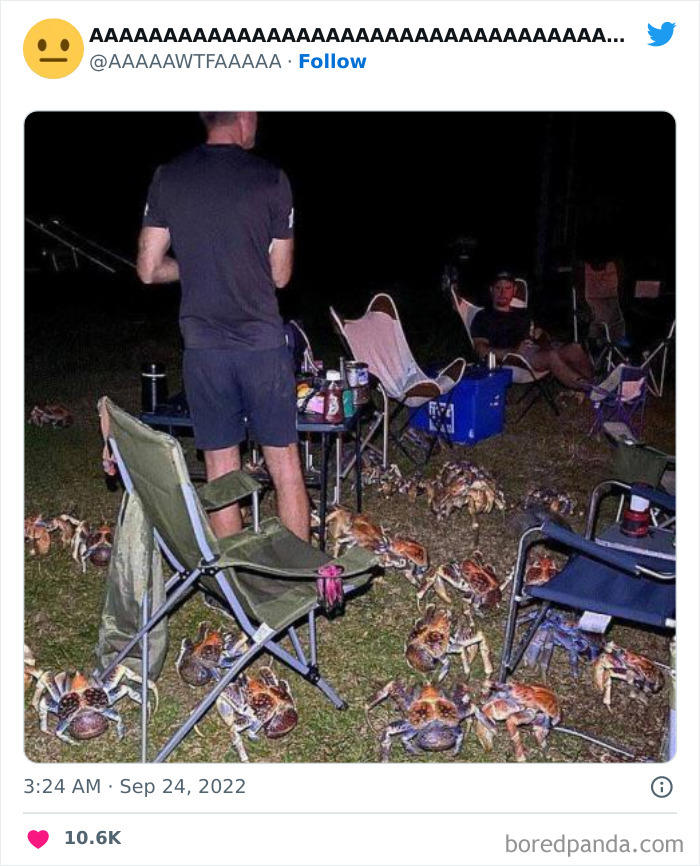 37 random pics from the internet that are so weird they’re funny