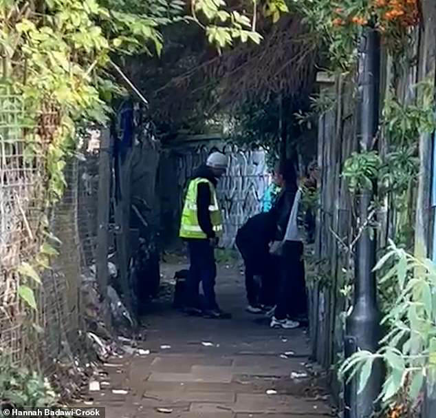 Hampstead alleyway is taken over by violence - residents arm themselves ...