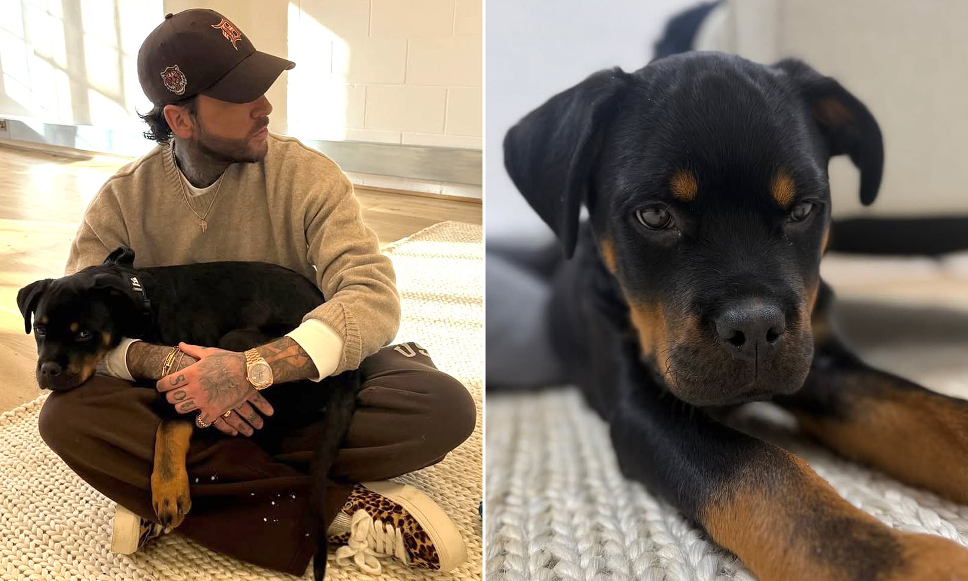 Pete Wicks introduces his new puppy to fans after the death of his dog Peggy  'broke his heart'