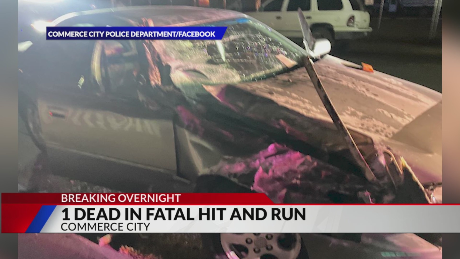 1 dead in fatal hit and run