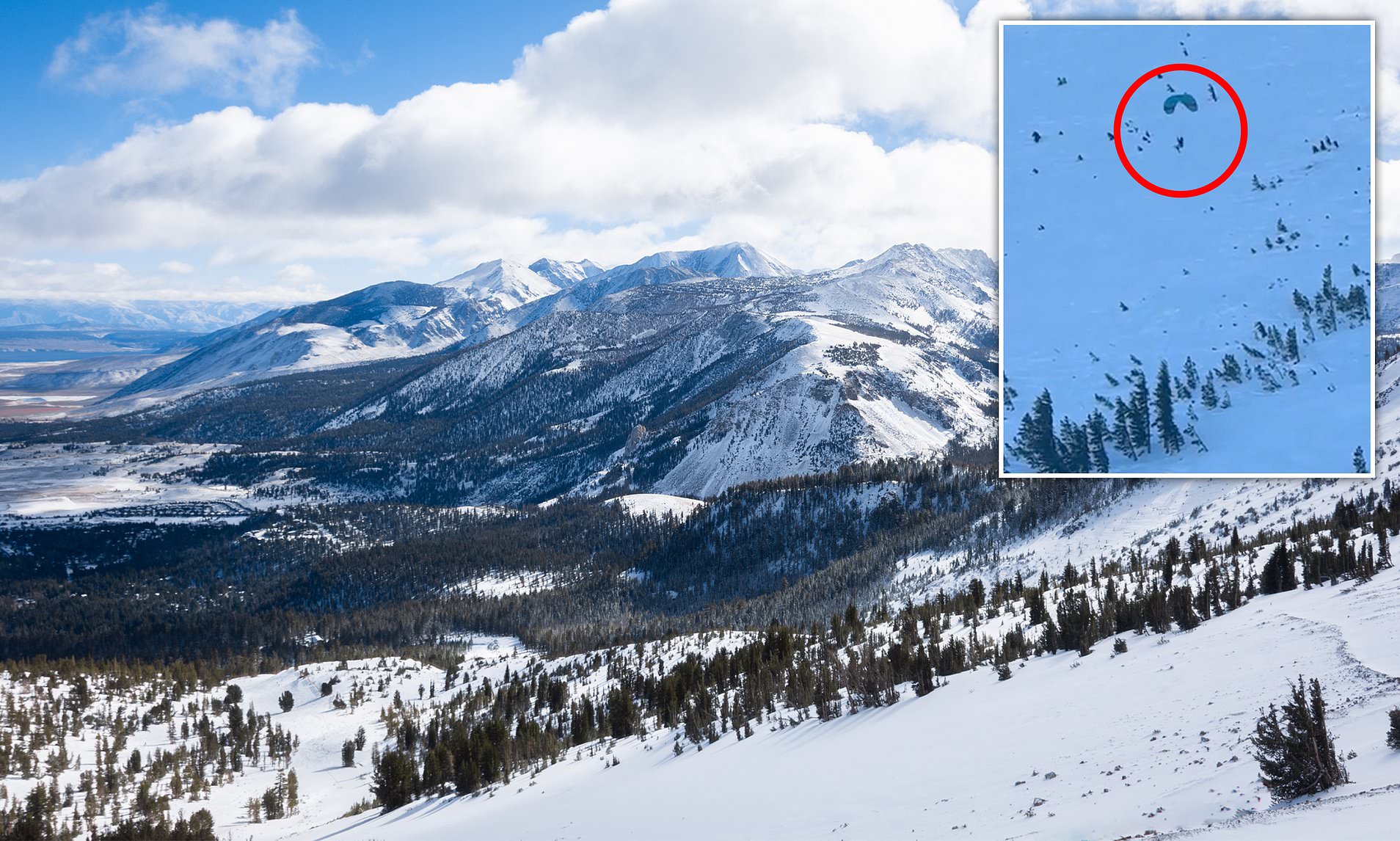 Reckless skier smacks into tree while using illegal paragliding wing to ...