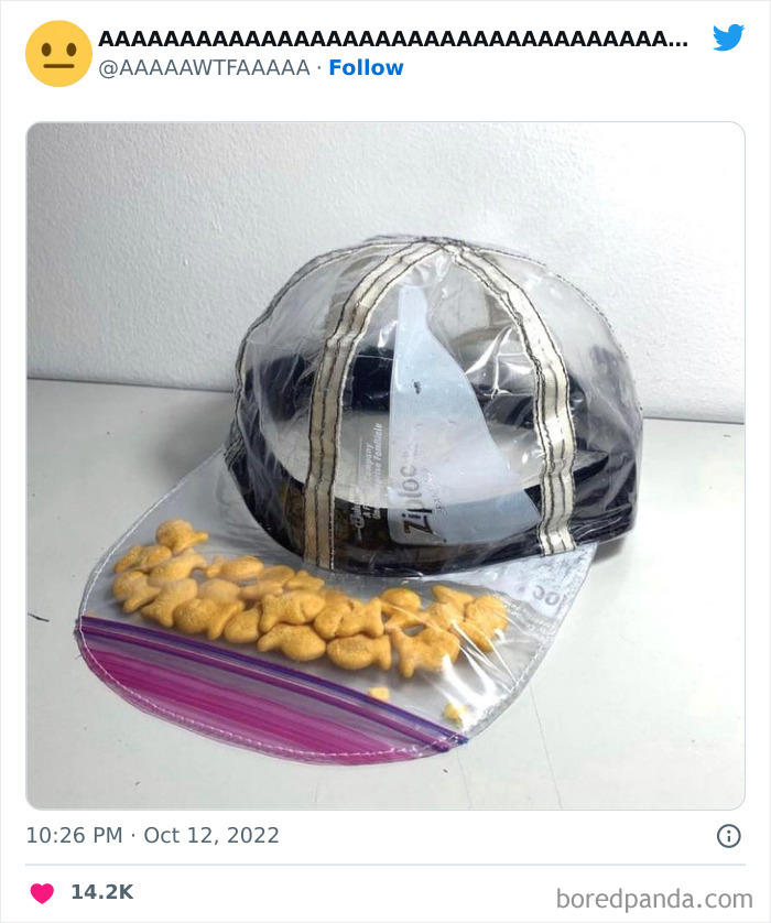 37 random pics from the internet that are so weird they’re funny