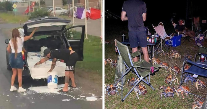 37 random pics from the internet that are so weird they’re funny