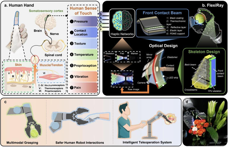 Soft robotic hand 'sees' around corners to achieve human-like touch