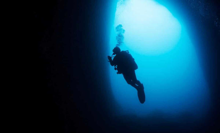 Divers capture rare footage of a “living fossil” 145 meters below the ...