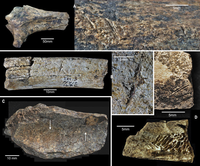 Early humans relied on simple stone tools for 300,000 years in a ...