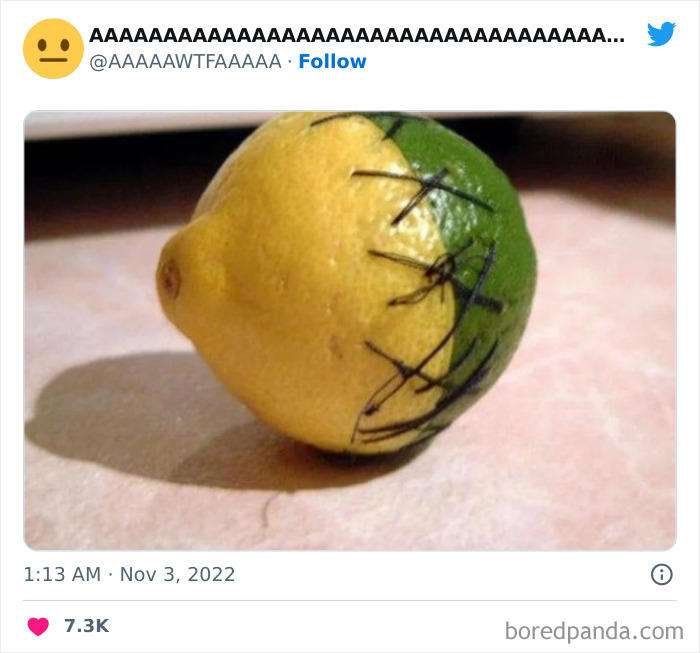 37 random pics from the internet that are so weird they’re funny