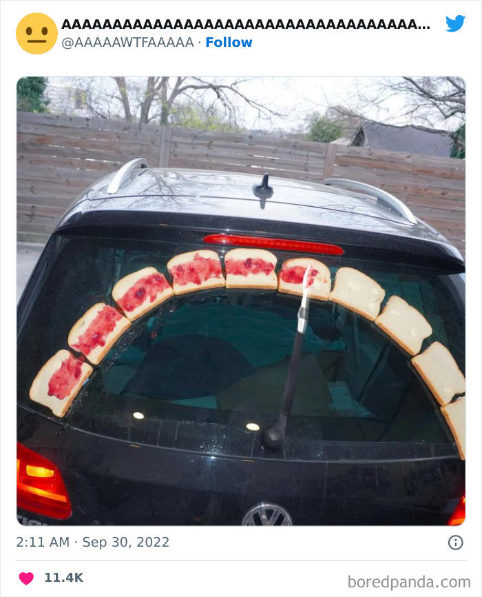 37 random pics from the internet that are so weird they’re funny
