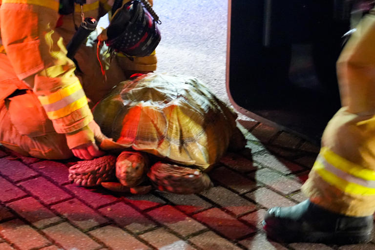 Firefighters respond to early morning house fire in Santa Rosa Beach