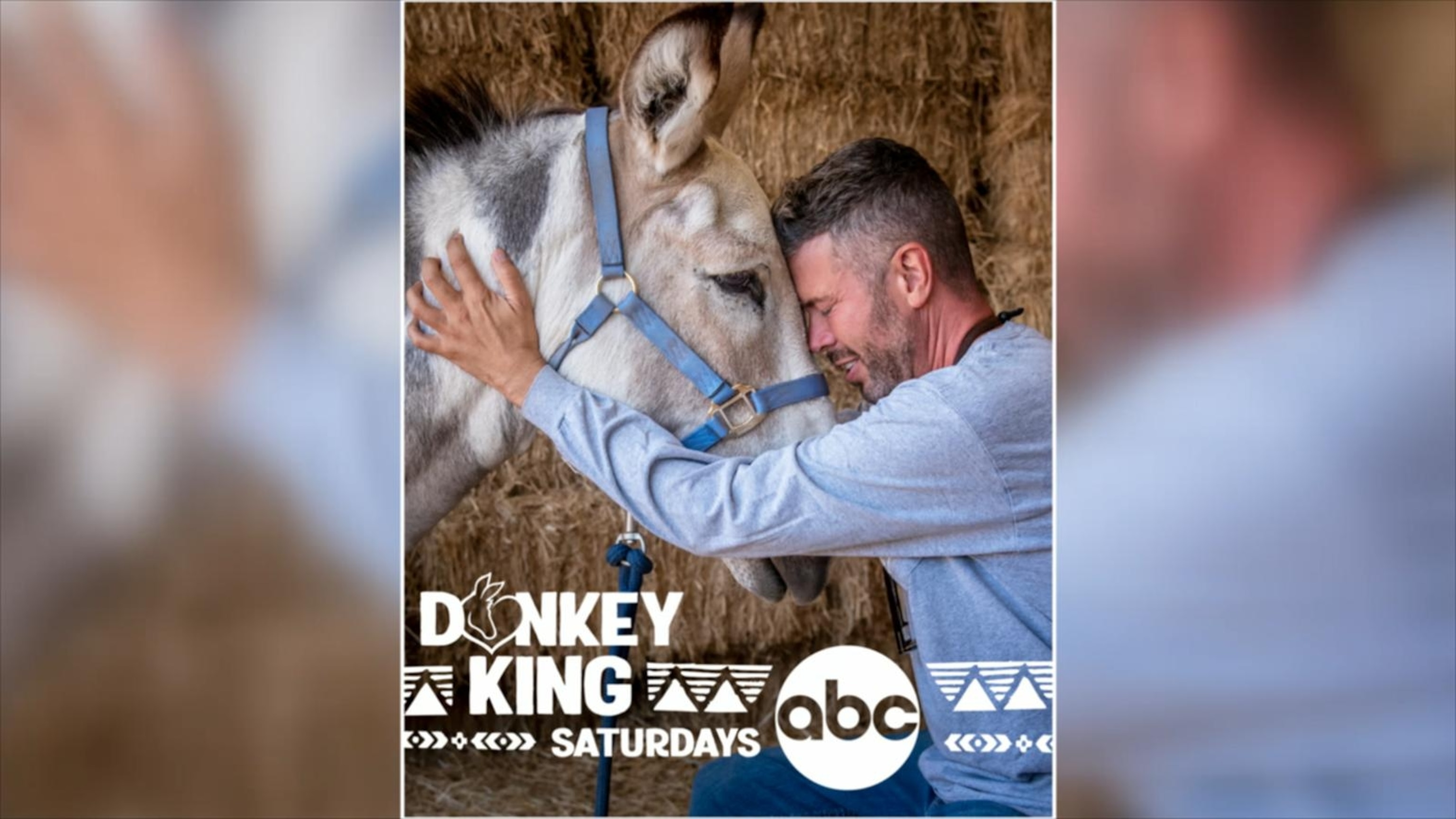 New docuseries highlights the rescue and rehabilitation of donkeys