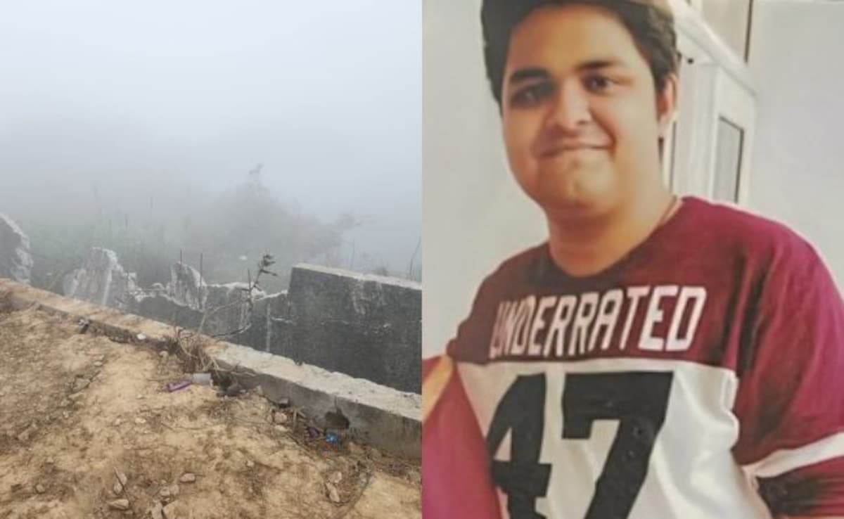 Techie drowns in Noida ditch, told father 